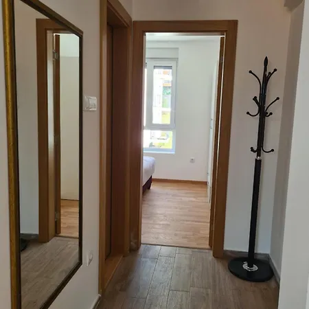 Suncokret * Soko Banja